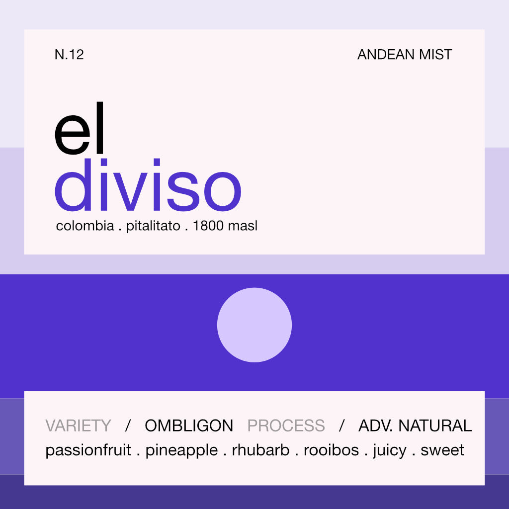 Still Coffee Roasters El Diviso Ombligon label: Colombia, Pitalito, 1800 masl, advanced natural